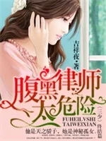 腹黑律师太危险