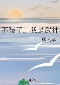 不装了，我是武神