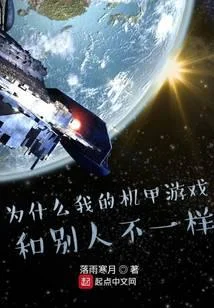 为什么我的机甲游戏和别人不一样