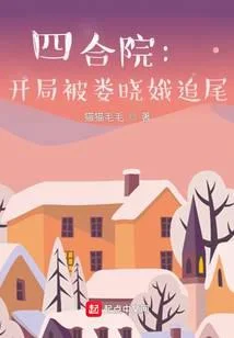 四合院：开局被娄晓娥追尾