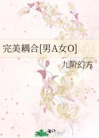 完美耦合[男A女O]